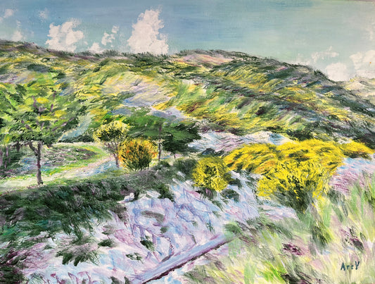 Acrylic painting "Side of the road. Motenegro"